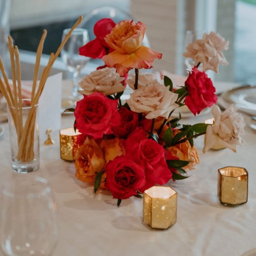 Staci Brucks Photography