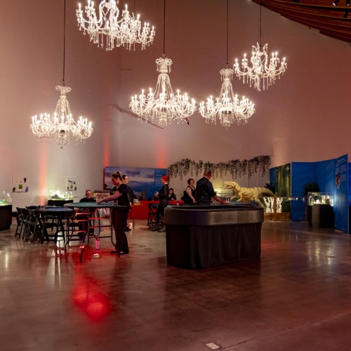 Large-Traveler-scaled