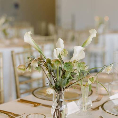 megan-brian-wedding-wichita-art-museum-ashleyxashley-500