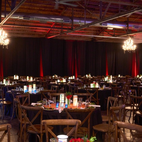 Night Among the Stars